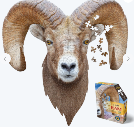 I am Puzzle 550 Piece - I am Ram