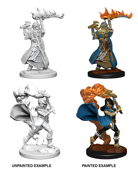 Unpainted Minis: W01: PF: Human Female Cleric
