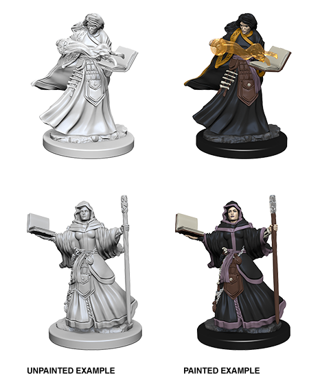 Unpainted Minis: W01: D&D: Human Female Wizard