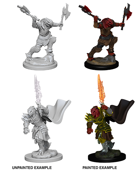 Unpainted Minis: W04: D&D: Dragonborn Female Fighter
