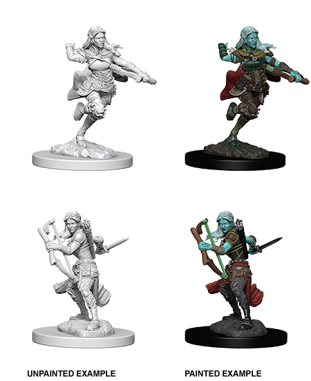 Unpainted Minis: W04: D&D: Air Gensai Female Rogue