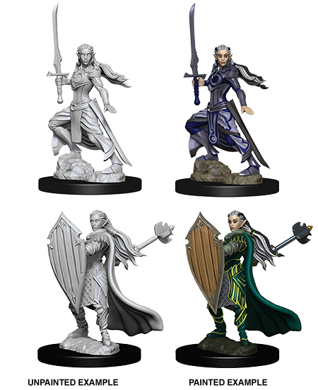 Unpainted Minis: W09: D&D: Elf Female Paladin