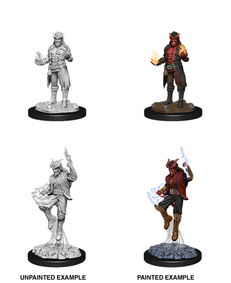 Unpainted Minis: W12: D&D: Sorcerer Tiefling Male