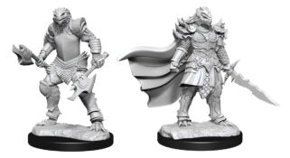 Unpainted Minis: W15: D&D: Dragonborn Fighter Female