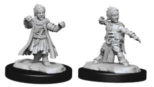 Unpainted Minis: W15: D&D: Halfing Monk Male