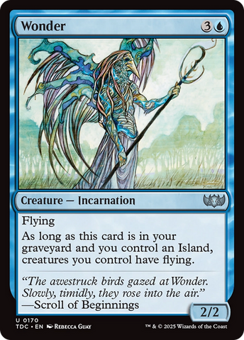 Wonder [Tarkir: Dragonstorm Commander]