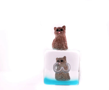 Soft Kitten RPG Dice Set