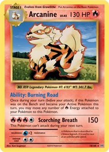 Arcanine (18) [XY - Evolutions]