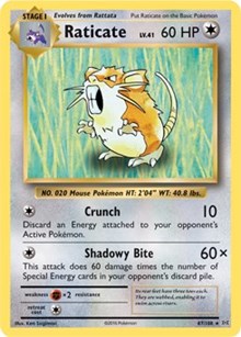 Raticate (67) [XY - Evolutions]
