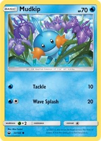 Mudkip (33) (33) [SM - Celestial Storm]