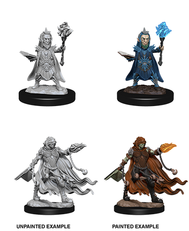 Unpainted Minis: W02: PF: Evil Wizards