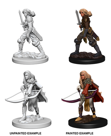 Unpainted Minis: W01: PF: Human Female Fighter
