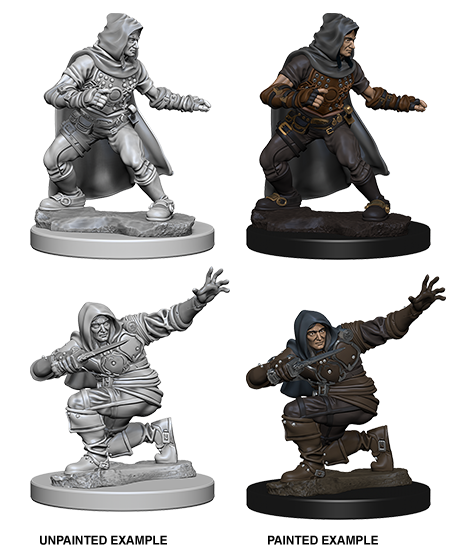 Unpainted Minis: W01: PF: Human Male Rogue
