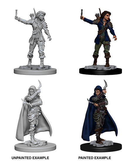 Unpainted Minis: W01: PF: Human Female Rogue