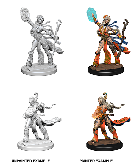 Unpainted Minis: W01: PF: Human Female Sorcerer