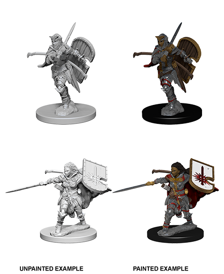 Unpainted Minis: W01: PF: Human Female Paladin