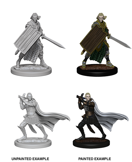 Unpainted Minis: W02: PF: Elf Male Paladin