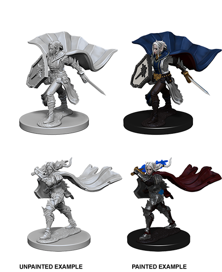 Unpainted Minis: W04: PF: Elf Female Paladin