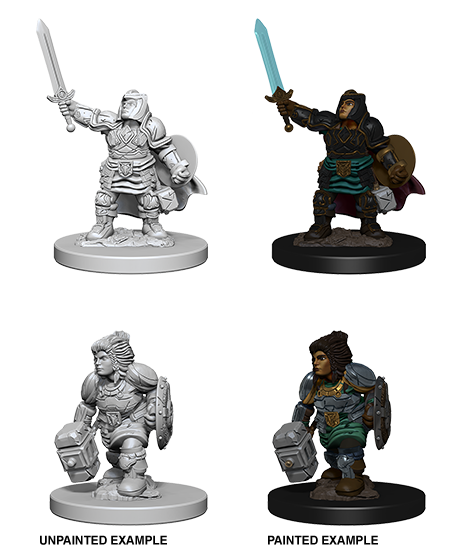 Unpainted Minis: W03: D&D: Dwarf Female Paladin