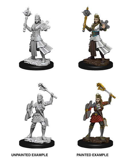 Unpainted Minis: W08: D&D: Human Female Cleric