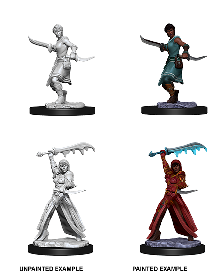 Unpainted Minis: W10: D&D: Human Female Rogue