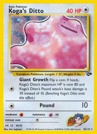 Koga's Ditto (10) [Gym Challenge]