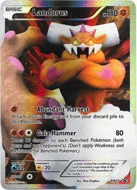 Landorus (BW43) (BW43) [Black and White Promos]