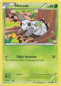 Nincada (9) [XY - Roaring Skies]