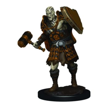 Painted Premium Miniature: DD: Fighter Goliath Male