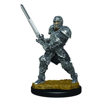 Painted Premium Miniature: DD: Fighter Human Male