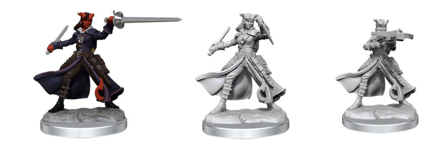 Framework: W01: Teifling Rogue Female