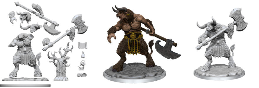 Framework: W01: Minotaur