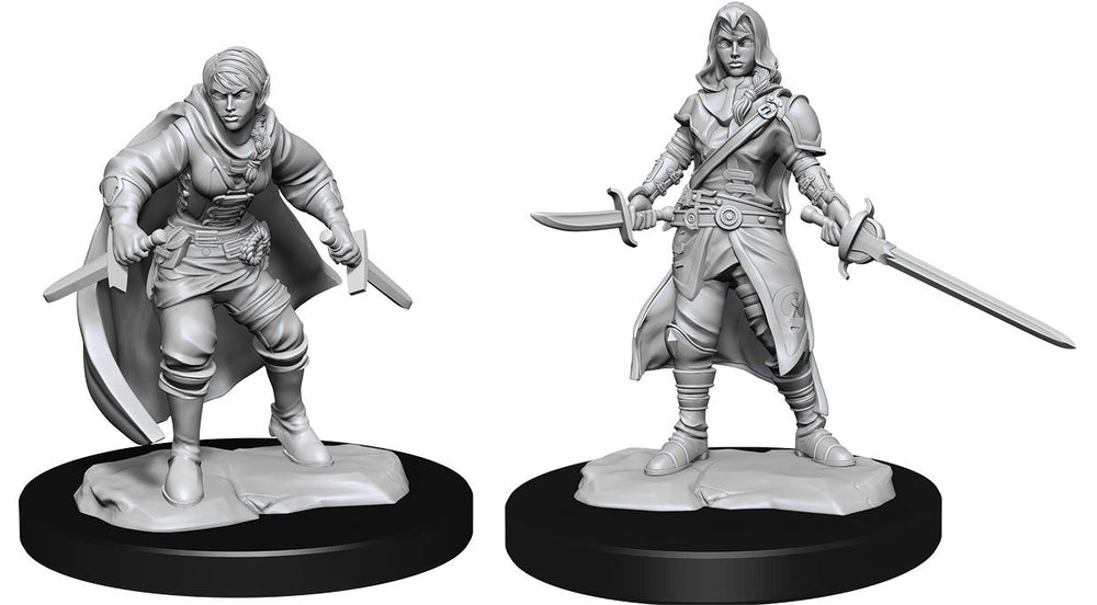 Unpainted Minis: W14: D&D: Half-Elf Rogue Female