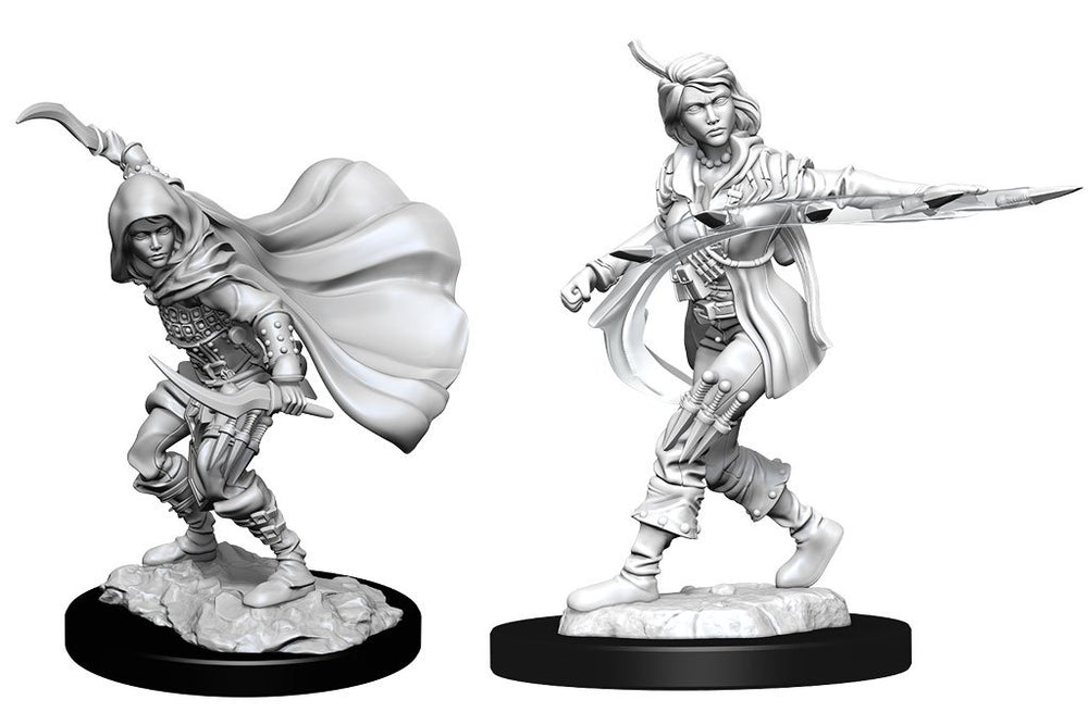 Unpainted Minis: W14: D&D: Human Rogue Female