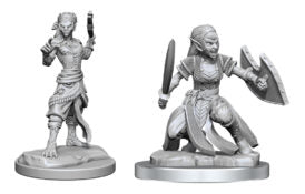 D&D Nolzur’s Marvelous Miniatures: Shifter Fighter