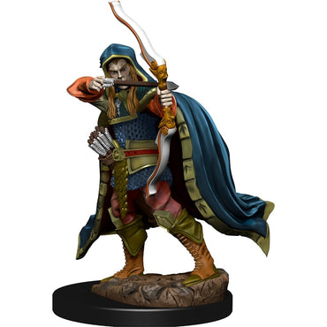 Painted Minis: DD: Elf Rogue Male