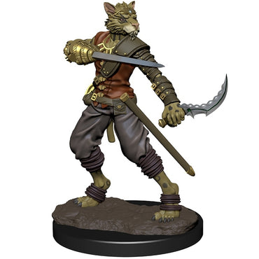 Painted Minis: DD: Tabaxi Rogue Male