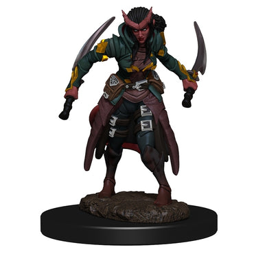 Painted Minis: DD: Tiefling Rogue Female