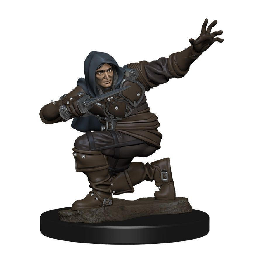 Painted Minis: PF: Rogue Human Male