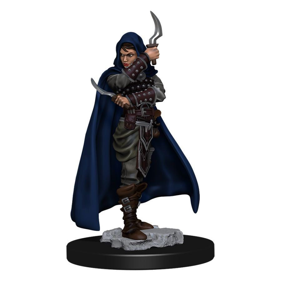 Painted Minis: PF: Rogue Human Female