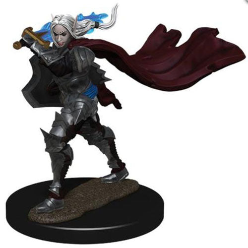 Painted Minis: DD: Elf Paladin Female